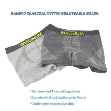 Men's Bamboo & Charcoal Briefs 2-Pack